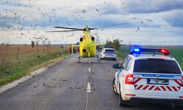 Dráma Velencénél: Féléves csecsemő életéért is küzdöttek a mentők!