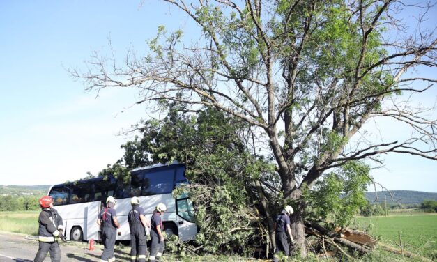 Halálos baleset: gyerekeket szállító busz csapódott a fának, rengeteg a sérült – részletekkel folyamatosan frissül _ ( +GALÉRIA A HELYSZÍNRŐL!)