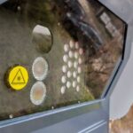 Pénznyomda lett a traffipaxból, inkább törölték az összes bírságot