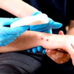 Saját udvarán mart meg egy nőt a Magyarországon honos kárpáti vipera: nagyot hibázott az áldozat