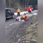 Medvetámadás ért egy férfit, alig jutottak el a mentők a sérülthöz