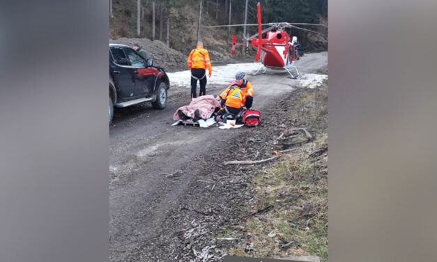 Medvetámadás ért egy férfit, alig jutottak el a mentők a sérülthöz