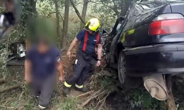Ritkán látható videón, ahogy megmentették egy magyar autós életét