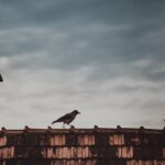 Egyre több részlet ismert a gyermekotthon tetejéről lezuhant lány ügyében