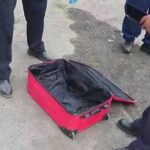 Bőröndbe zárva szállítottak két kutyát a távolsági buszon, másnapra elpusztultak az oxigénhiány miatt