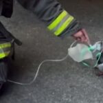 Oxigénmaszkkal mentettek meg egy galambot a tűzoltók – milliókat meghatott a videó