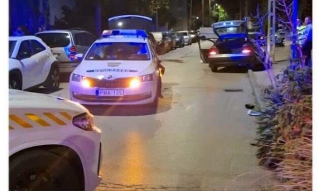 Videón a fehérvári Cobra 11: bódultan menekült a tinédzser a rendőrök elől!