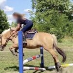 „A ló megijedt valamitől, ráesett a kislányra” – újabb részletek derültek ki a 20 éves lány halálát okozó somogysárdi lovasbalesetről