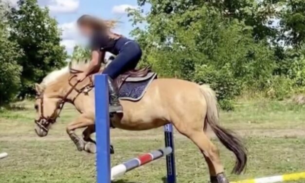 „A ló megijedt valamitől, ráesett a kislányra” – újabb részletek derültek ki a 20 éves lány halálát okozó somogysárdi lovasbalesetről