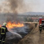 Törökbálint adománygyűjtést indít a Tétényi-fennsíkot perzselő bozóttűz után