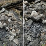Kis híján erdőtűzzé fajult a sütögetés, lovas polgárőrök léptek közbe Várpalotán (+fotók)