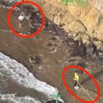 Egyetlen fotó miatt kerültek életveszélybe a turisták egy távoli parton