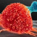 Eltűnt a rák a 3 éves kisfiú szervezetéből, miután megkapta a kísérleti immunterápiát