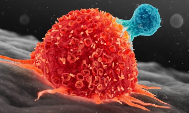 Eltűnt a rák a 3 éves kisfiú szervezetéből, miután megkapta a kísérleti immunterápiát