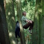 Újabb magyar film indulhat az Oscarért – Enyedi Ildikó alkotása kapta a bizalmat