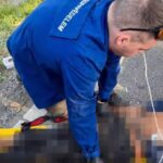Szabadnapján sietett egy sérült kerékpáros segítségére egy mohácsi tűzoltó