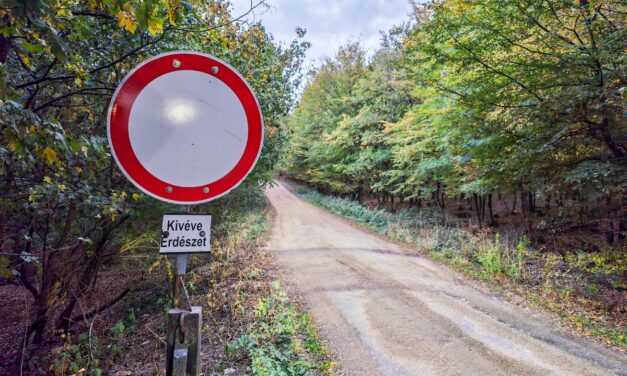 Motorbaleset az erdőben: Sérült motoros után kutattak a vasi mentők, rendőrök és tűzoltók