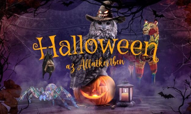 Halloweeni programokkal várja a látogatókat a fővárosi állatkert péntek este