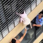 Hajszálon múlt a tragédia: sámlival mentették meg a 12. emeletről lógó kislányt